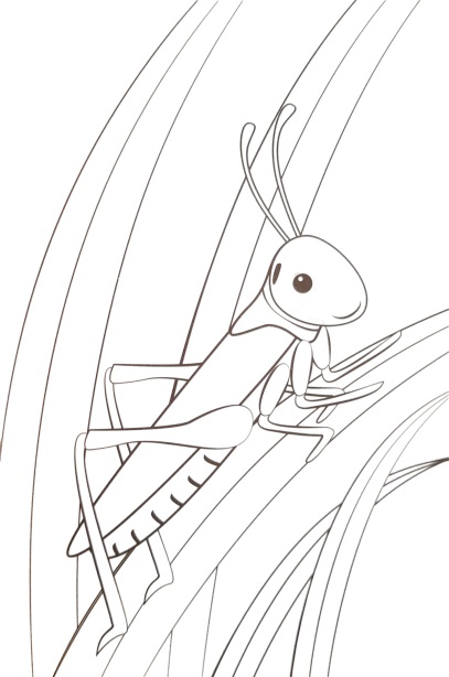 grasshopper coloring worksheet