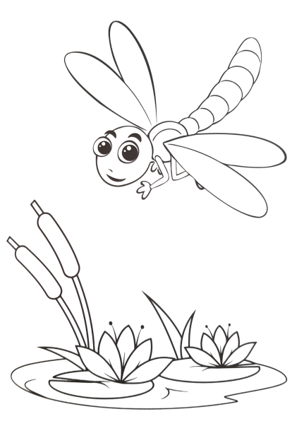 insect5