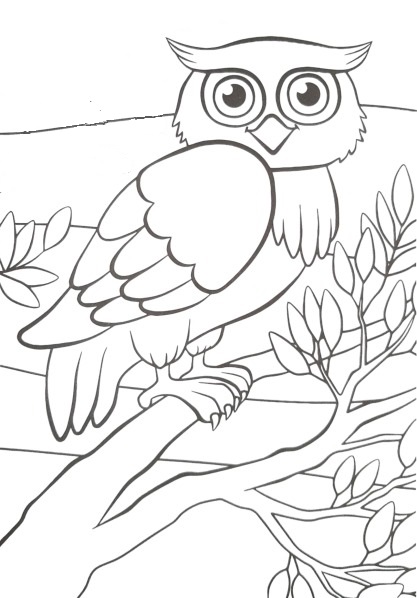 owl coloring worksheet