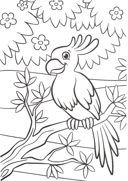 parrot coloring worksheet