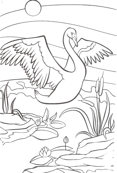 the swan coloring worksheet